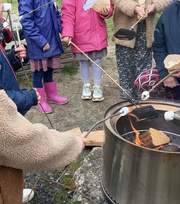 2026 03 marshmellows