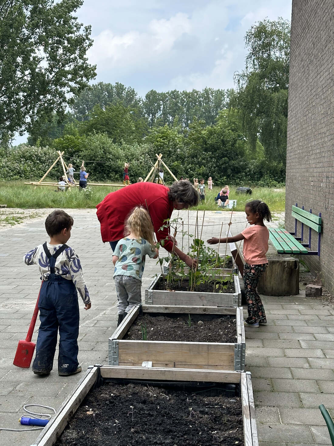IMG 111812090196