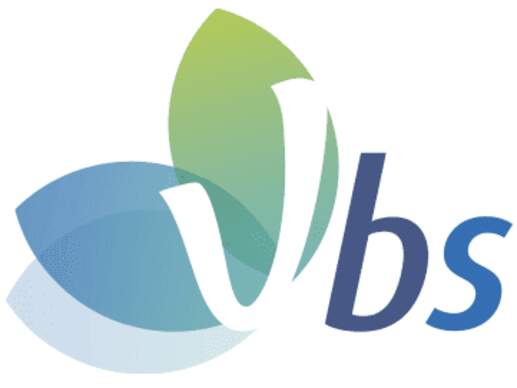 cropped logo vbs 111854787080